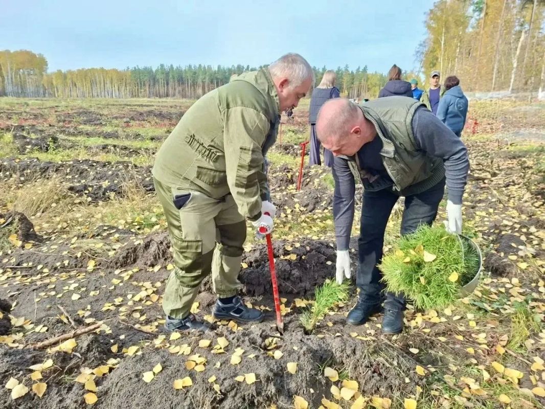 Сотрудники инспекции присоединились к Всероссийской акции «Сохраним лес» Сотрудники инспекции присоединились к Всероссийской акции «Сохраним лес»