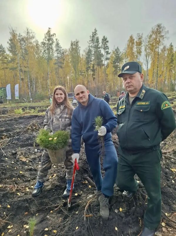Сотрудники инспекции присоединились к Всероссийской акции «Сохраним лес» Сотрудники инспекции присоединились к Всероссийской акции «Сохраним лес»