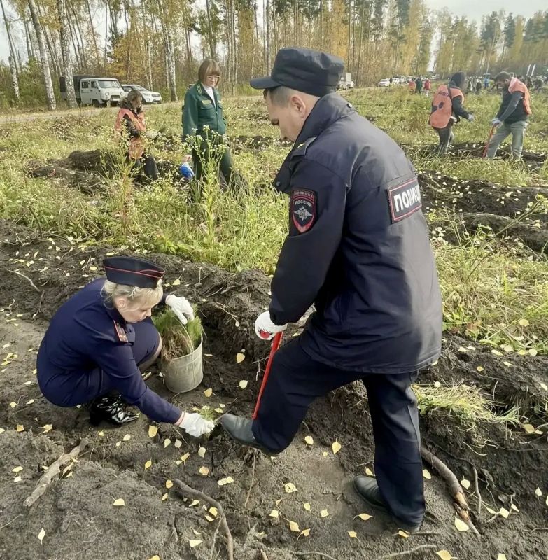 Липецкие полицейские присоединились к участию в ежегодной Всероссийской акции по сохранению лесов «Сохраним лес» Липецкие полицейские присоединились к участию в ежегодной Всероссийской акции по сохранению лесов «Сохраним лес»