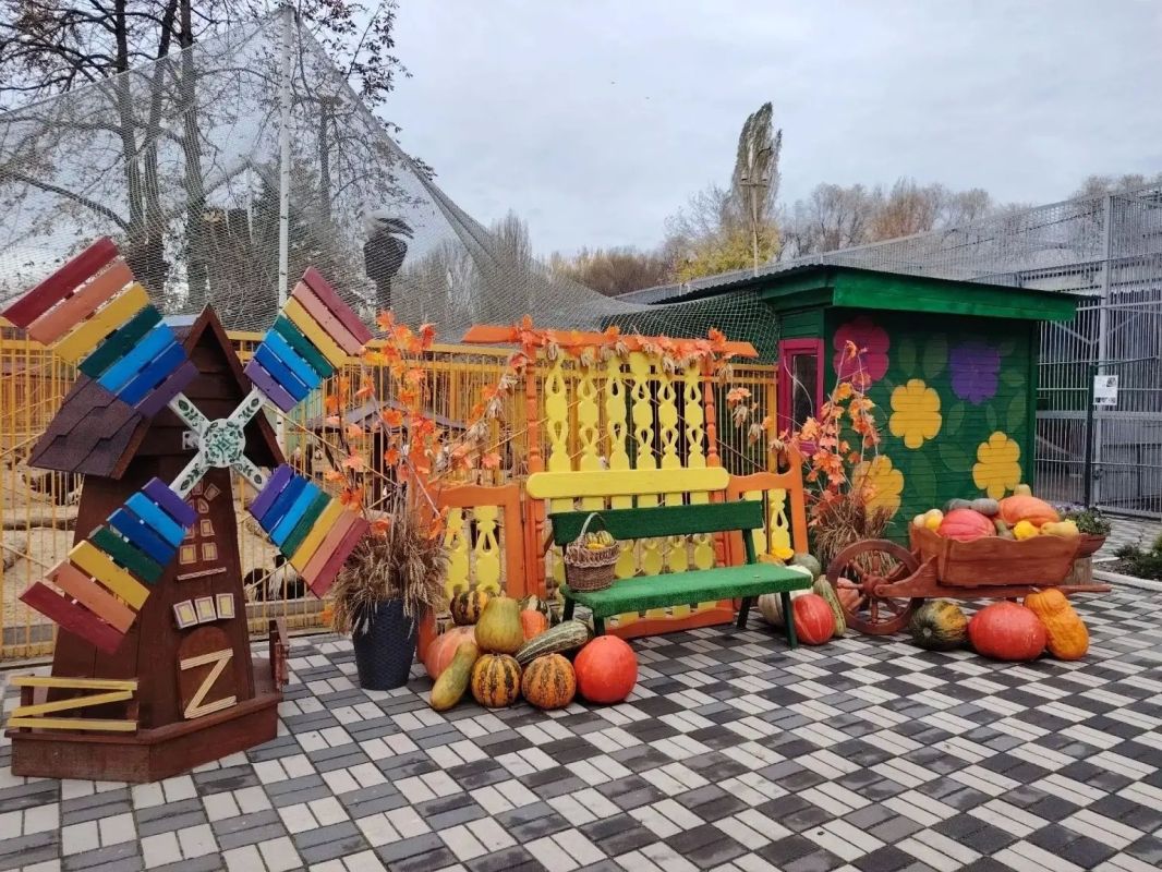 Фото с тележкой тыкв можно сделать в Липецком зоопарке