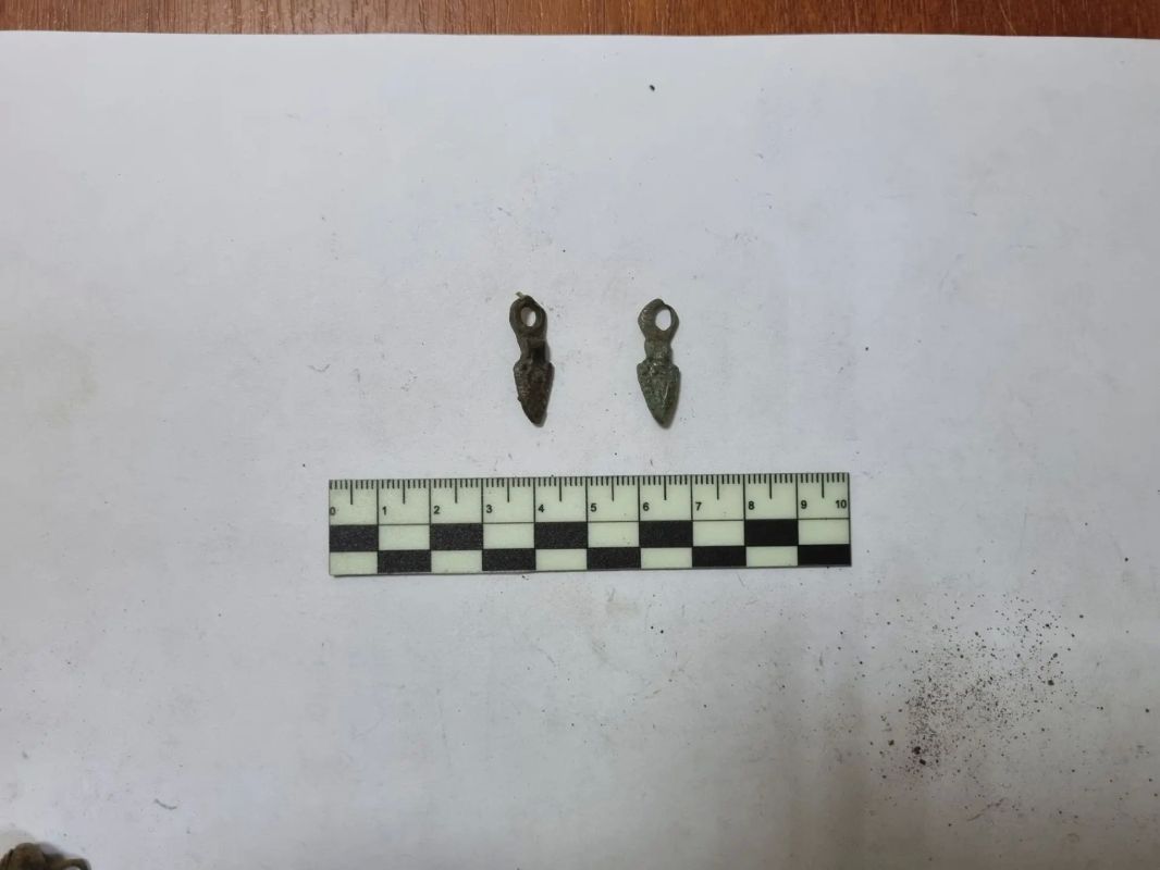 Прокуратура Липецкой области направила в суд уголовное дело о незаконных археологических раскопках Прокуратура Липецкой области направила в суд уголовное дело о незаконных археологических раскопках