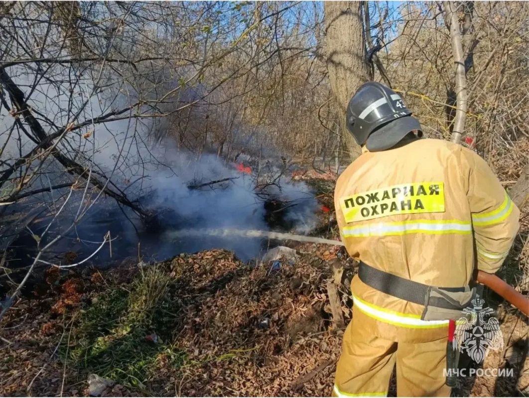 36 пожаров в ЛО за выходные случились на открытых площадках 36 пожаров в ЛО за выходные случились на открытых площадках