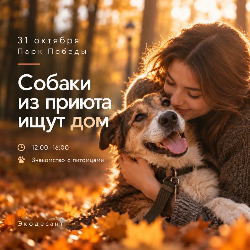 Можно прийти на пробежку, а уйти с четвероногим другом Можно прийти на пробежку, а уйти с четвероногим другом