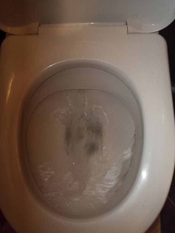 �������� ���� ������: ����������� ������ �������� ��������