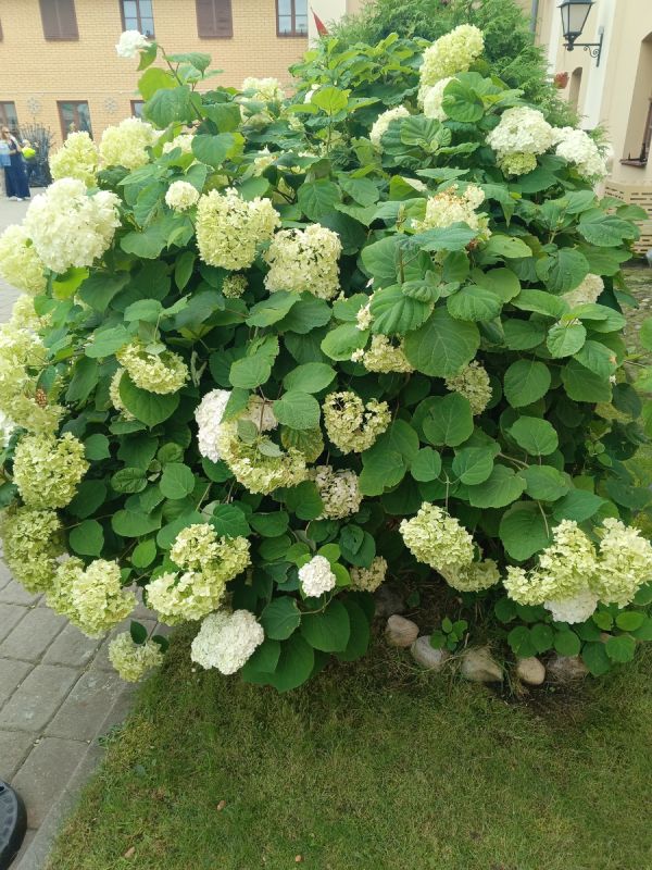 ����� ����� �� ������: 5 ������� ����� � ������� � ��������������