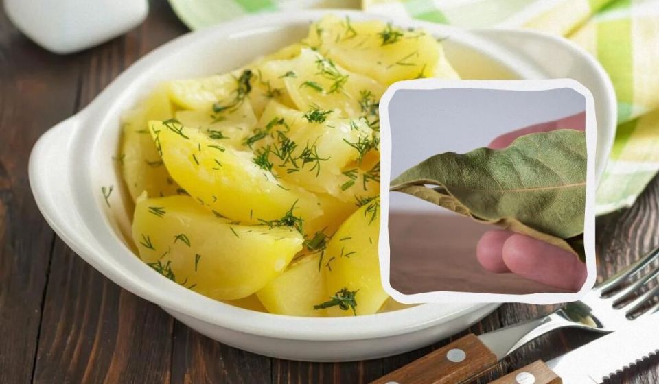 Как правильно солить картошку: секреты от кулинаров