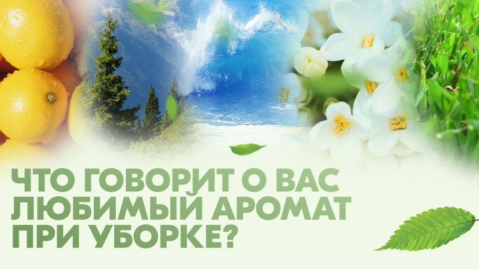 Как выбрать идеальный аромат для уборки, который изменит ваше настроение