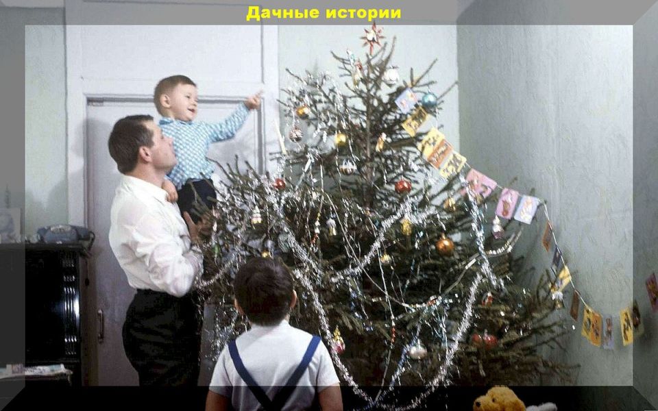 Как сохранить новогоднюю ель: проверенные советы для продления жизни хвойных деревьев