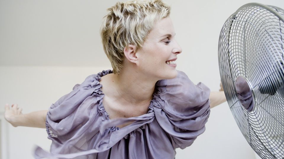 В квартире будет пахнуть цветочным лугом: сделайте с вентилятором вот что