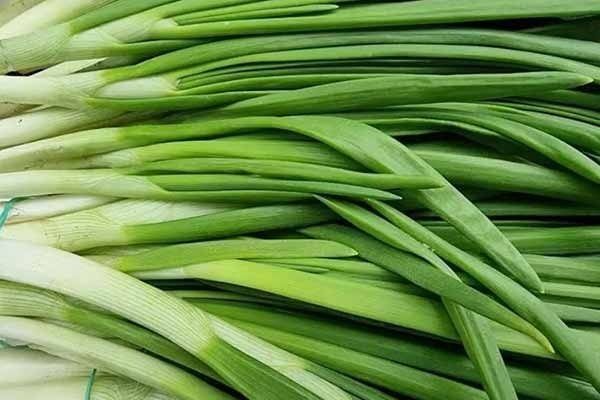 Вкусный выбор: как лук сорта Шашлычный становится любимцем огородников