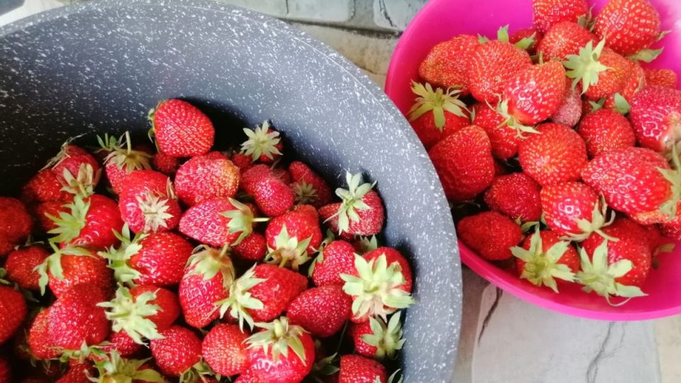 Как добиться рекордного урожая клубники с помощью борной подкормки