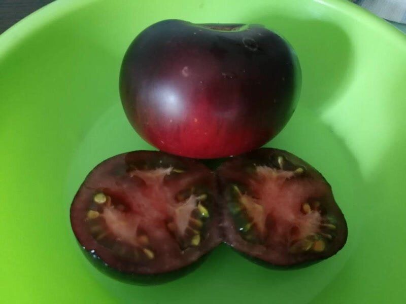 Почему антоциановые томаты становятся популярными: факты и отзывы