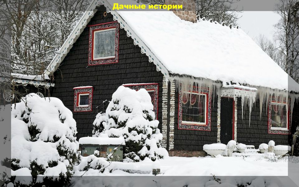 Секреты успеха для начинающих дачников: важные советы по выращиванию культур