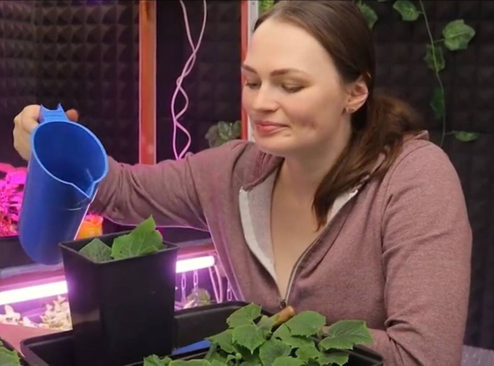 Ранняя рассада: советы для успешного старта вашего огорода