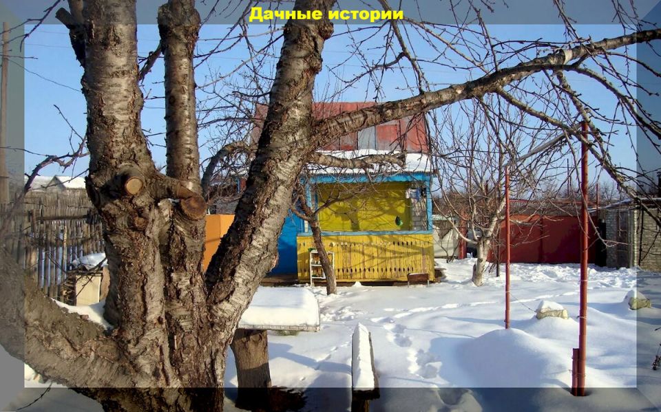 Секреты успешного ухода за растениями: ответы на популярные вопросы дачников