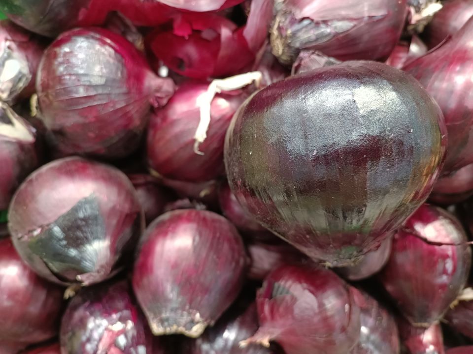 Луковая и чесночная шелуха: секреты использования для здоровья растений и урожая