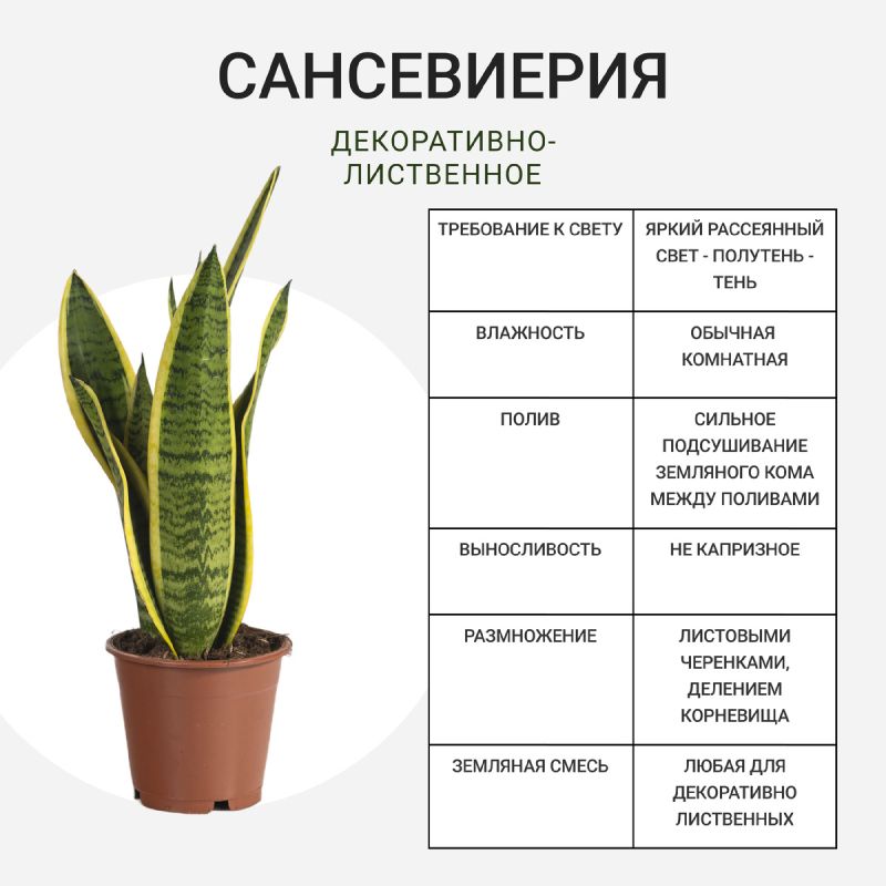 ������������� ��������� ��������: ��������� �������� ��� ������� ����� � ��������