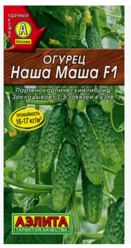 ������ ���������� ������: ��� ����� ����� � 2025 ����