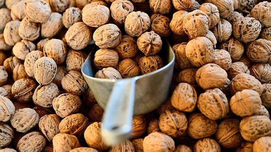 �������� ������� ����������� ��������� ������ ��� ��������