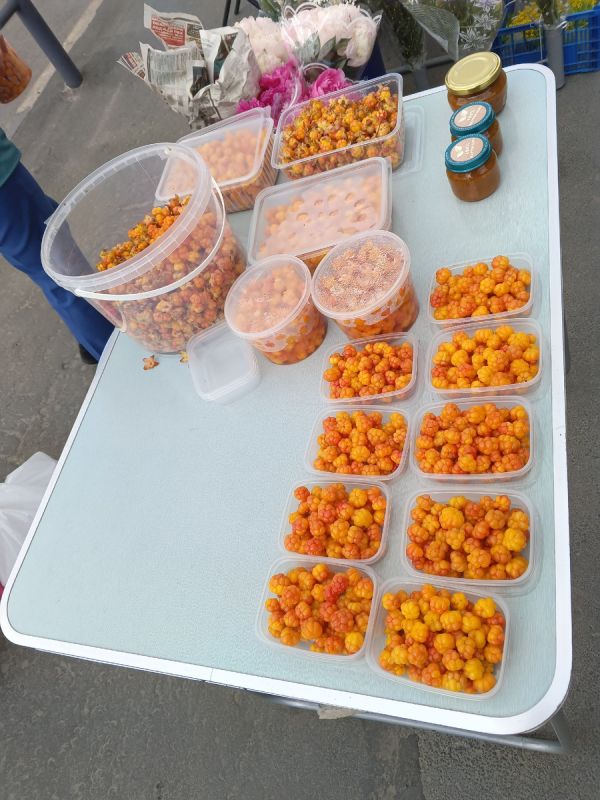 ������� �������: ������� ����� � ��������� ��� �� ������ ���������