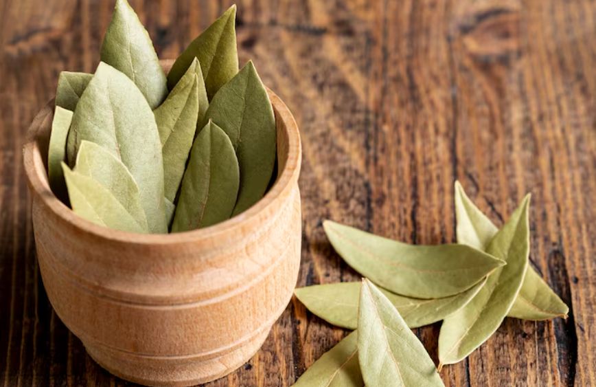 �������� ���� ��� ������������� ��������: 10 ����������� �������� ��� �������������