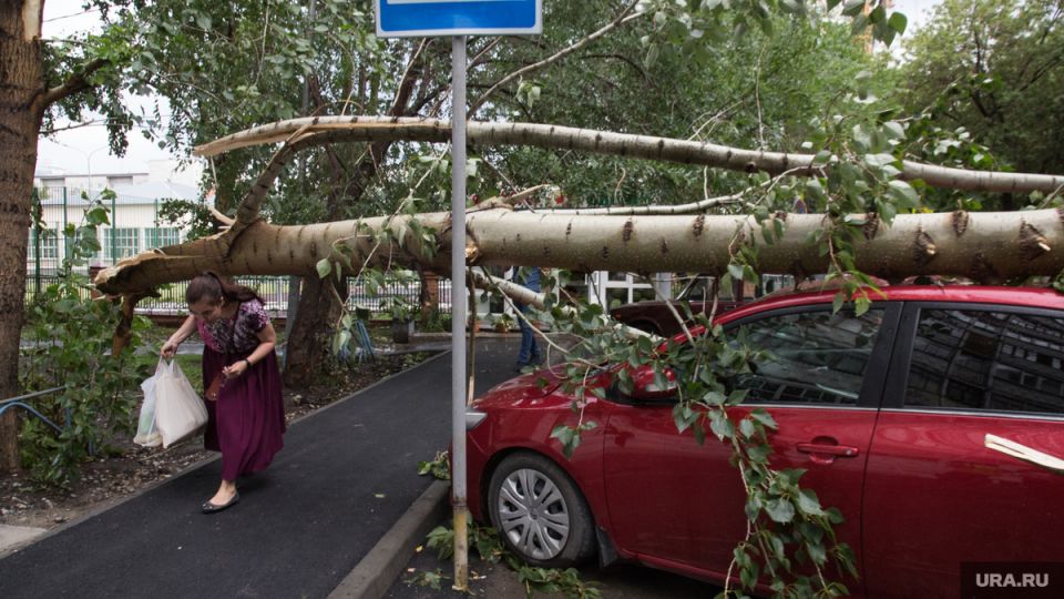 ����� ������ ��������� �����: ��� �������� �� ����������� ����������?