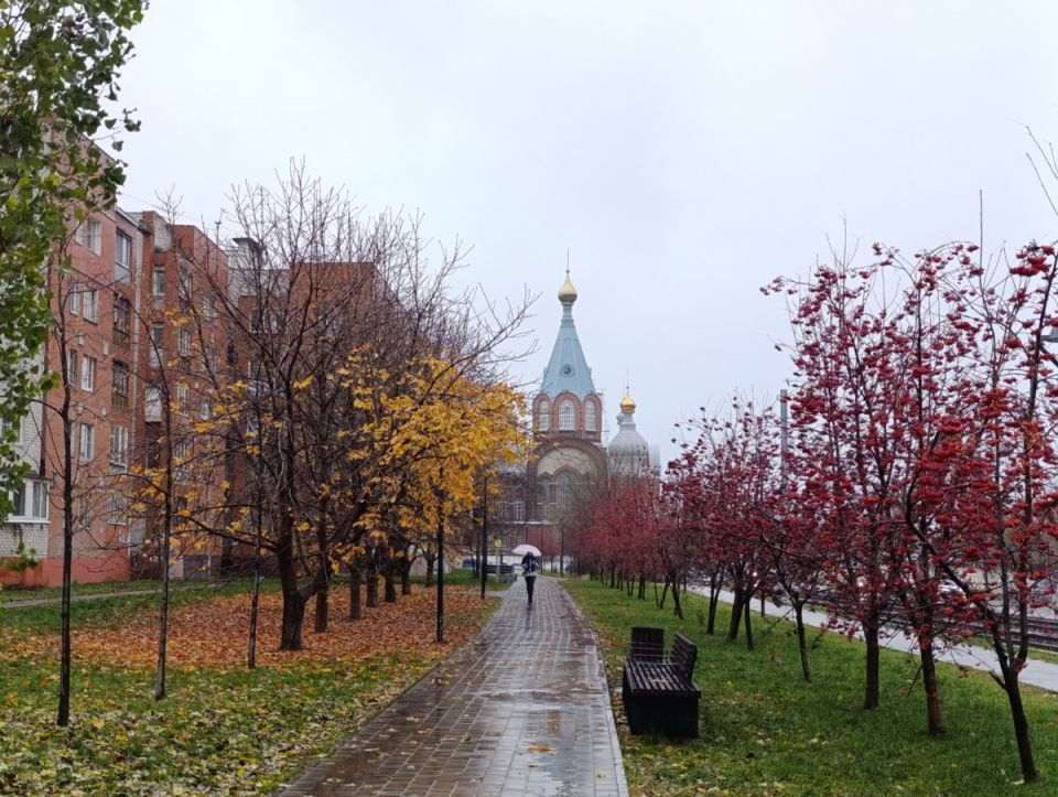 Как провести время зимой: советы для любителей книг