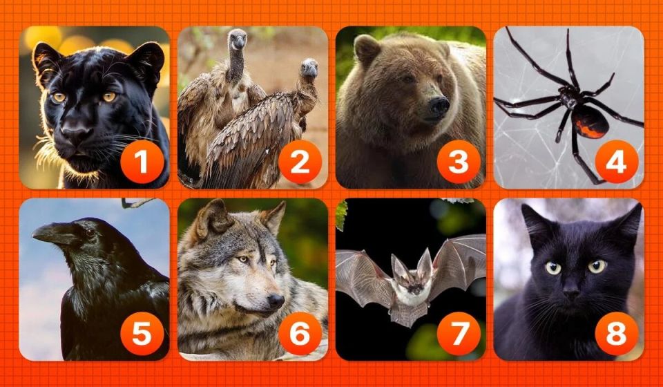 ��� ���� ������� �������� ����� �������� ���� �������� ����� ���������?