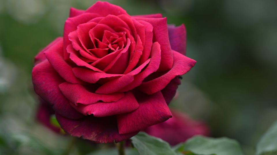 ��������� ���� �� ��������� ���� ������ ���������: ������������� ����� ����� �� �������