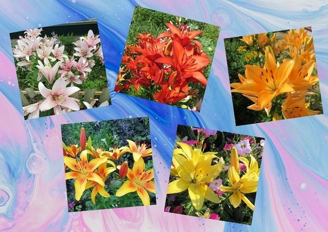 ��������� ����� ��� ��������� �����: ������ � ����� ��������� ����� ���������