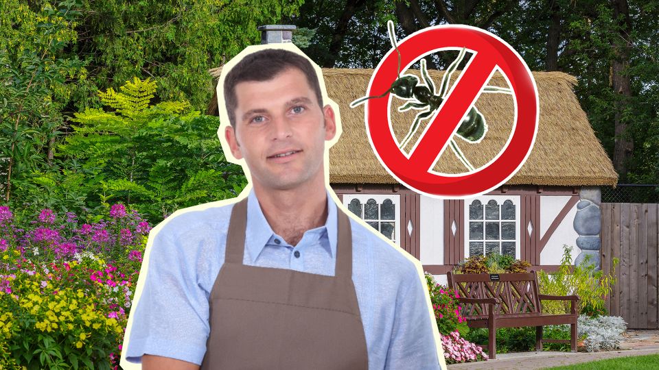 � �������� ����� ����� ������ �� ��� ����: �������� ��� ��������� ��������