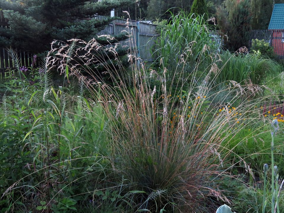 ���������� �������� �����������: ������� � �������� ���������� ��������