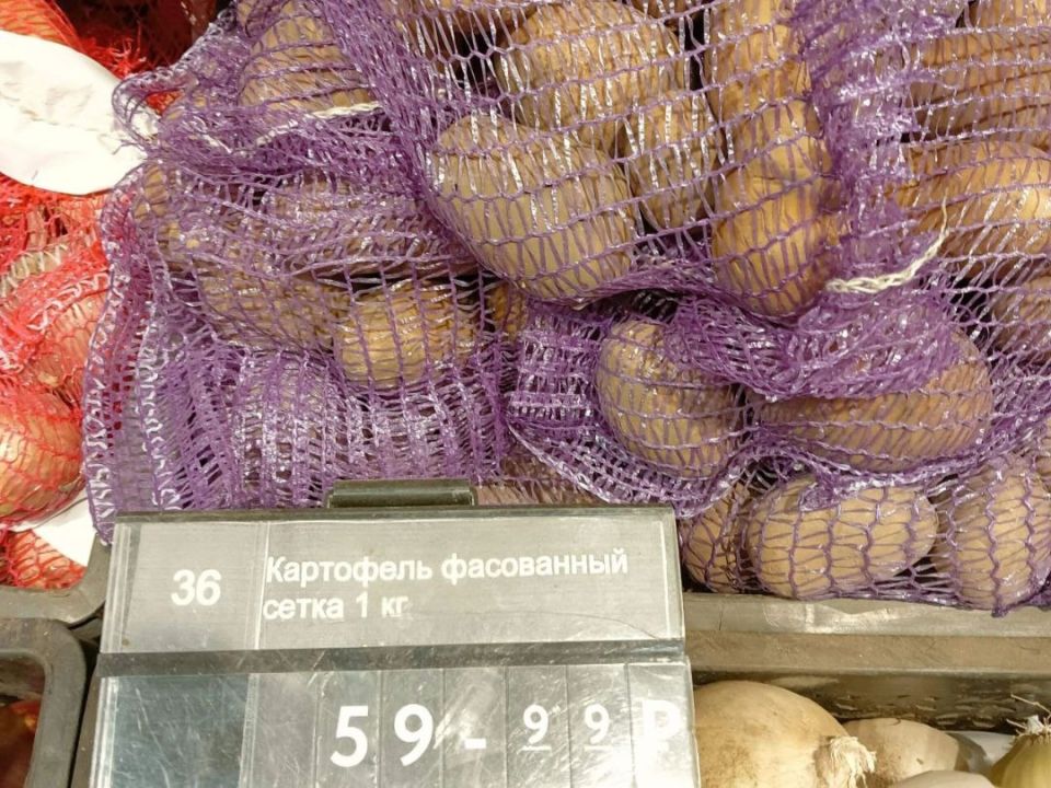 ������ ���� ��� �� �����: ��� ����� �� ���������?