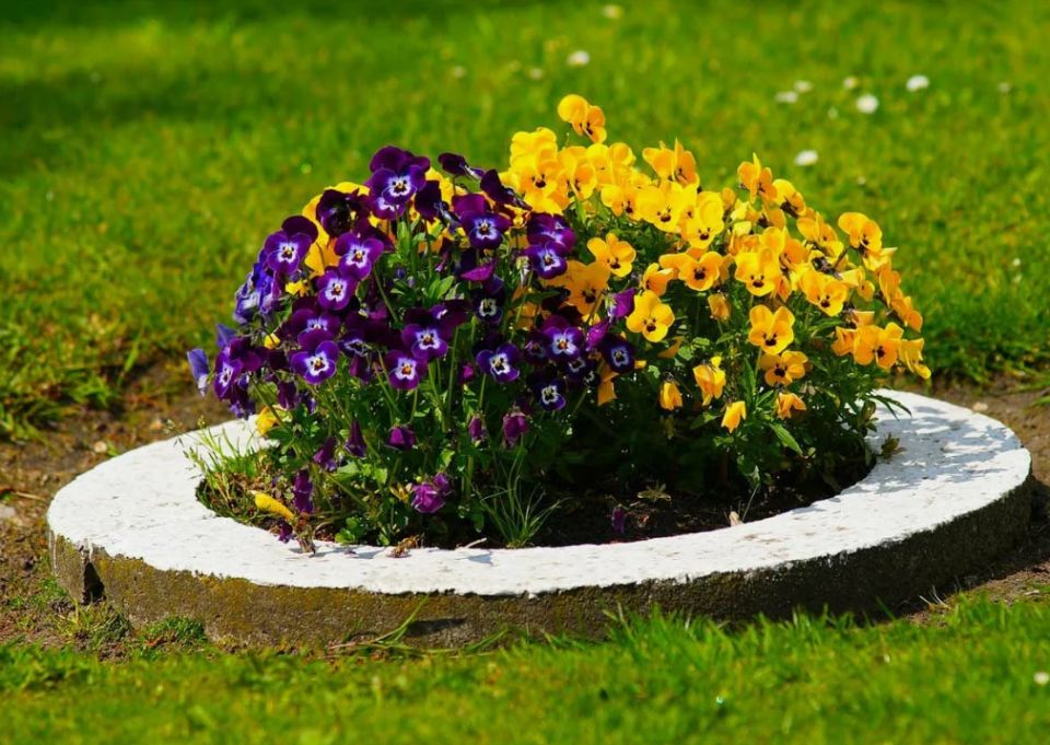 ������� ������� ��������: ����������� ��������, ������� ����� �������� ���� �� �����