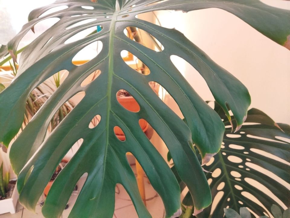 ��������: ���� ������� � ����