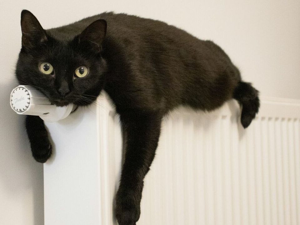 ������� ��������� ��������� ������ �� ��������� ������ ���������� �������� ��������