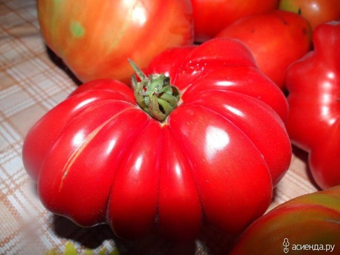 ����� ������� ��������: ������� ����� � ��������� ���� ��� ������� � ������