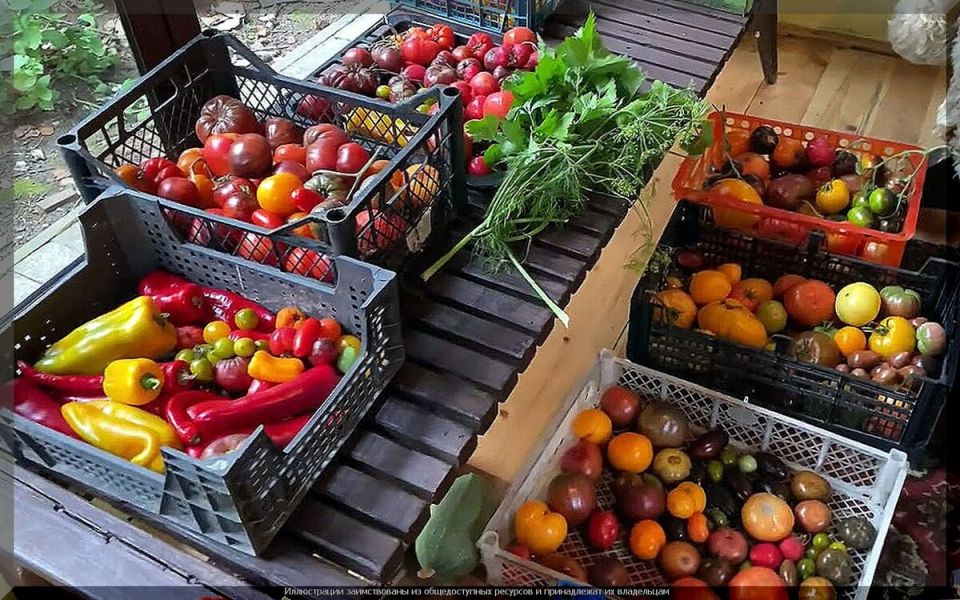 ������, ������� ����������� ������� �������: ���������� ����� ������ ��� ������� � ��������� ������