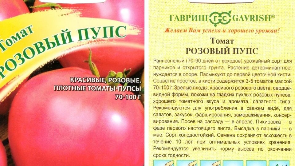 ������ ������� ����� ������� � ��������� ���� � ������ ��� ����� ��������