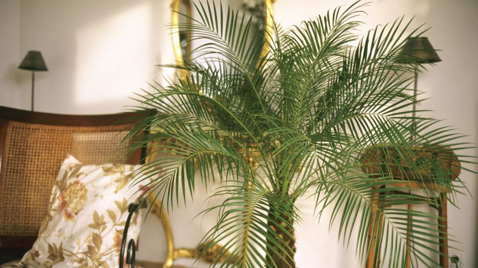 �������� ���������: �� � ���� ������ �� ������� �����, ����� ��������� ������ ��������