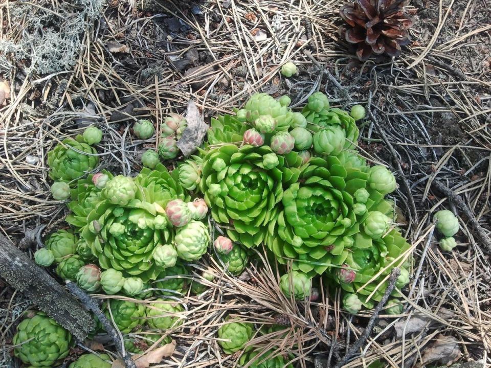 ��������: ��� ������� ������ ��������� ��� ������� ������������