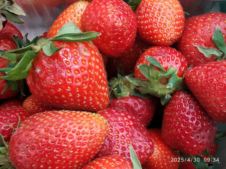 ��� ��������� ������������� ������������� ��������� � ������� �����