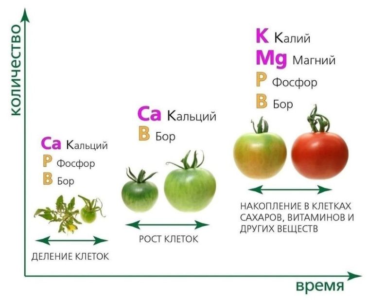 ��� ��������� ������������� ������ � ����: ������� ��������� ������