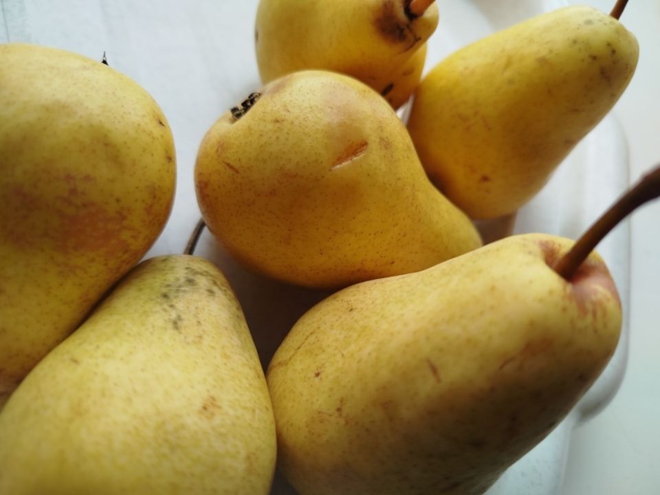 ������� ����� ������ ����: ����� � ��� ��������� ������� ������