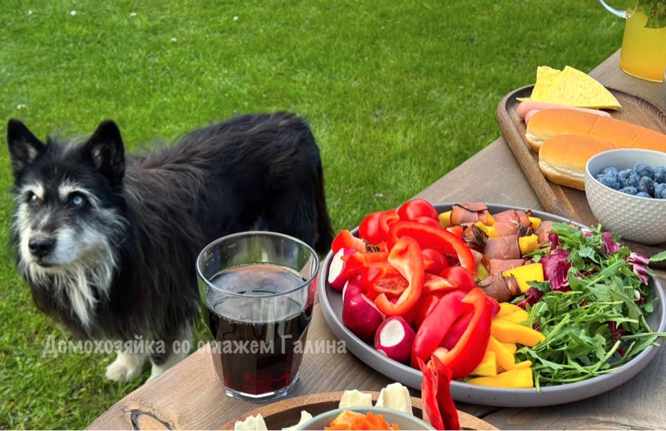 ��� ����� ��������� ������ ����� ������� ������ � �������