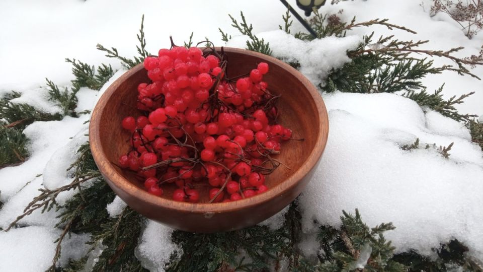 ����� � ������ � ����������� ����� �������� ���� � �������