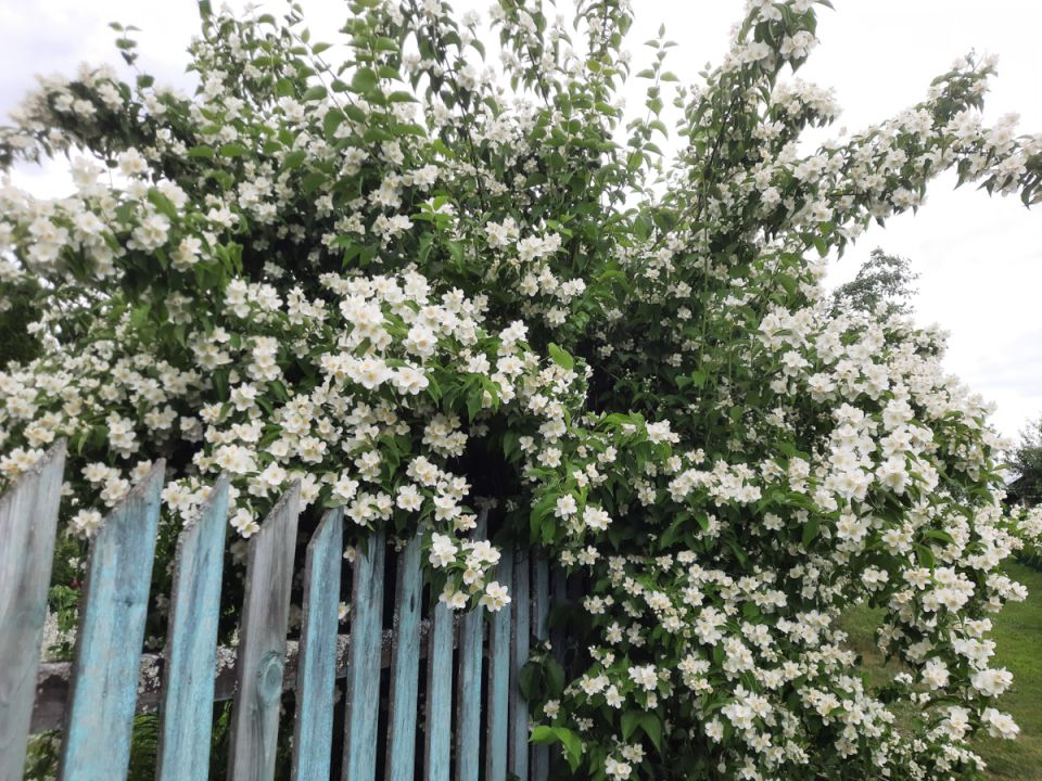 ������� � ���������� �� ��������: ������� ��������