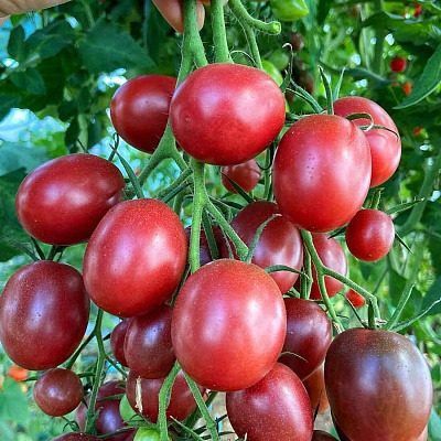 ����� ����������: ��������� ����� ��� ����� ���������