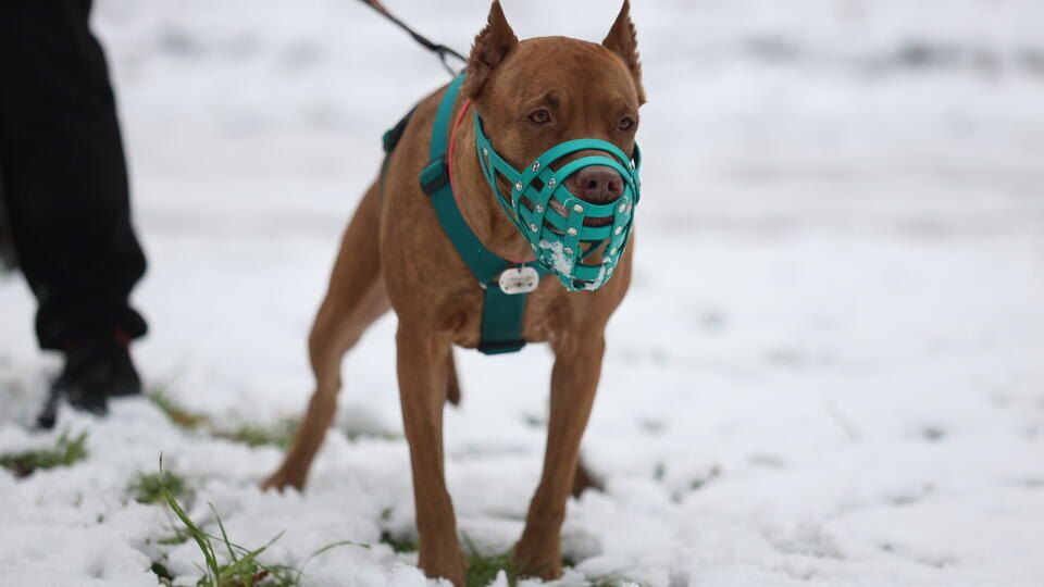 ������� ����� ������ ������� ���� � �������� � 5 �������� ���������, ������� ����������� ��� ����