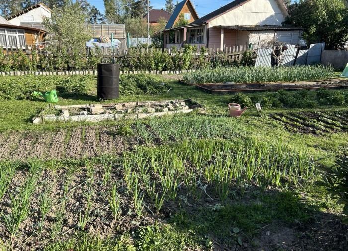 Как эффективно бороться с сорняками и сохранить свой сад в идеальном состоянии